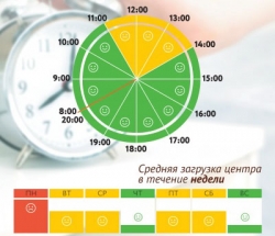 График загруженности МФЦ Богородское и Метрогородок по дням недели и часам
